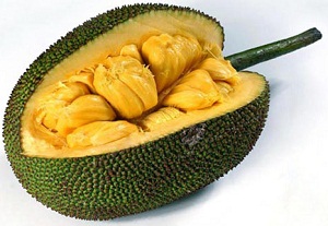 میوه جک فروت (Jackfruit) و خواص آن + عکس