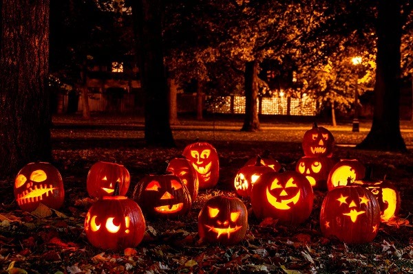 عکس کدو تنبل هالووین