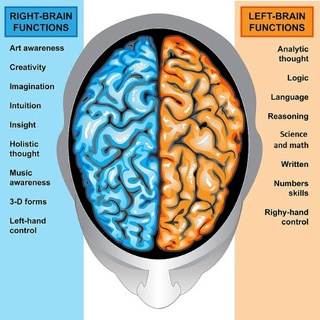 ویژگی های نیمکره راست مغز چیست؟