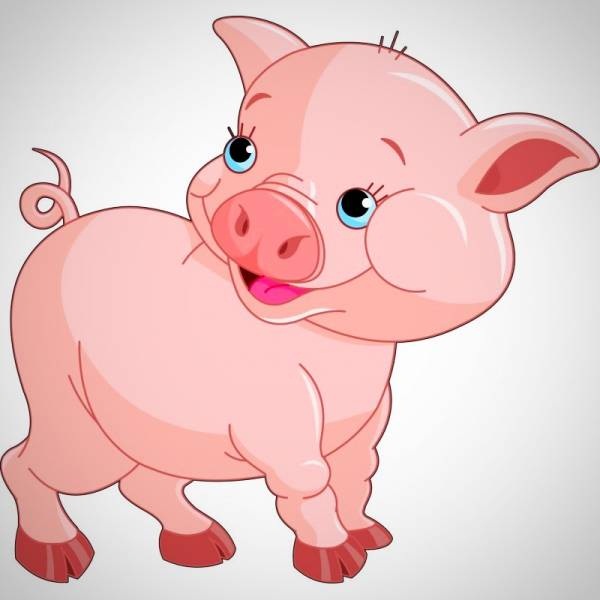سال خوک نماد چیست؟